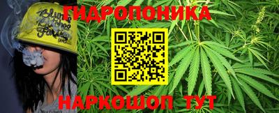 PSILOCYBIN Чапаевск