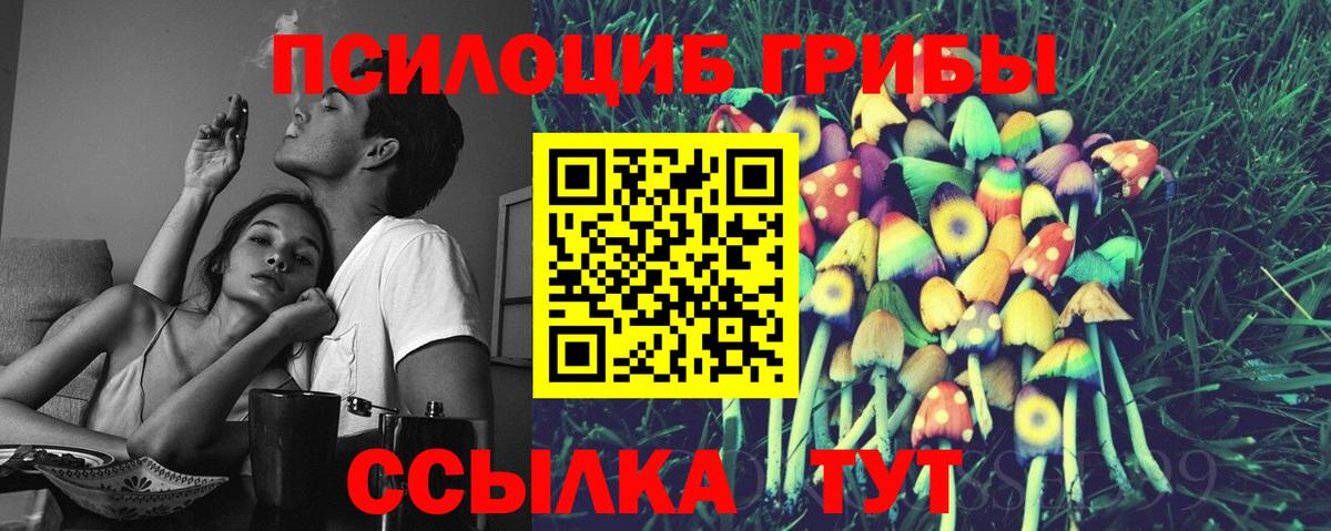 Галлюциногенные грибы Cubensis  где найти наркотики  Белово  Вход с VPN 